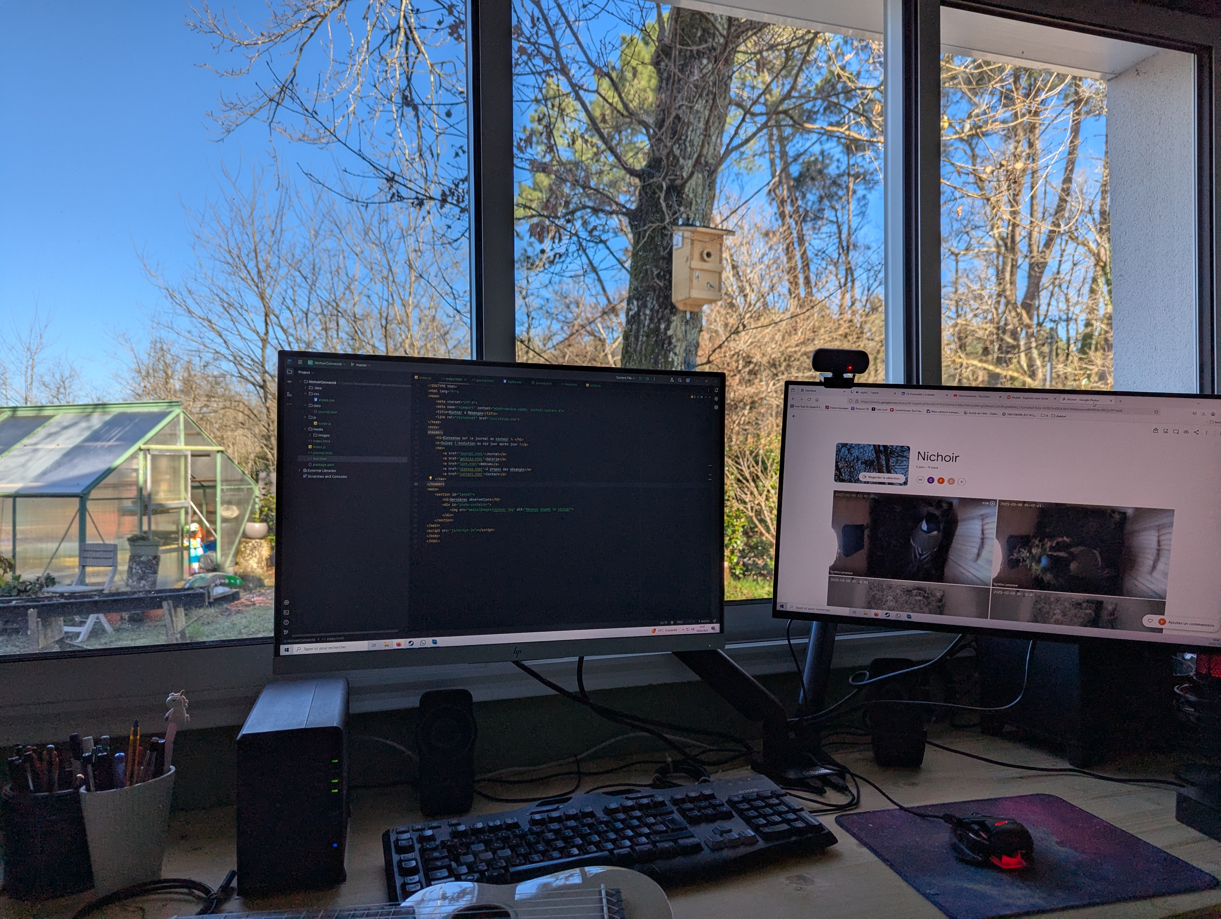 Vue de mon bureau sur le nichoir