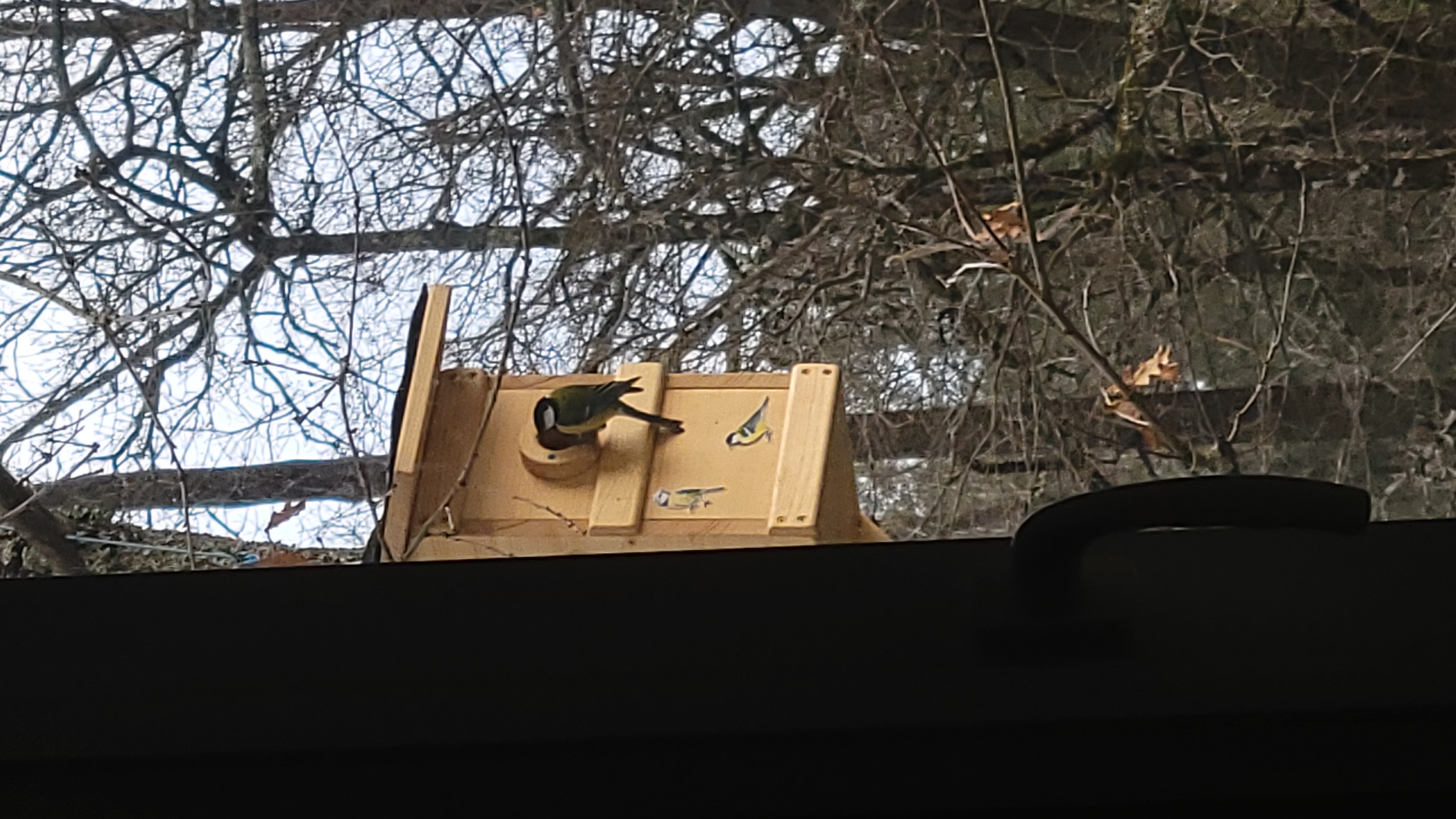 Autre angle du nichoir